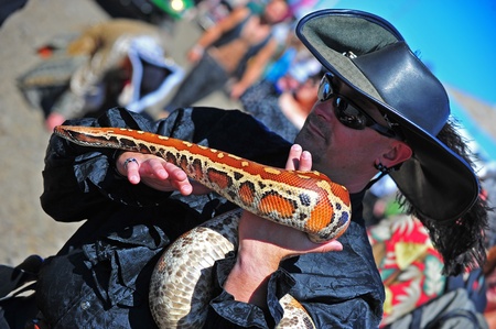 September 03, 2011 Portland Oregon Pirates Festival invaded historic St Hellens Oregon this year on September 03-04.  Here a pirate holds his Red Python as he walks through the crowds.のeditorial素材