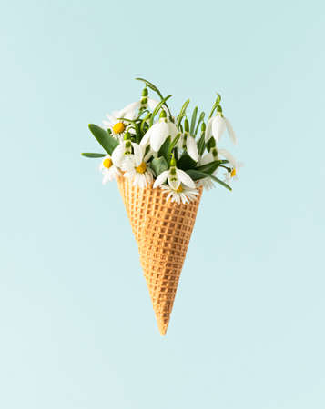 White spring flowers blooming out of an ice cream cone against a pastel blue background. Minimal creative nature concept.の写真素材