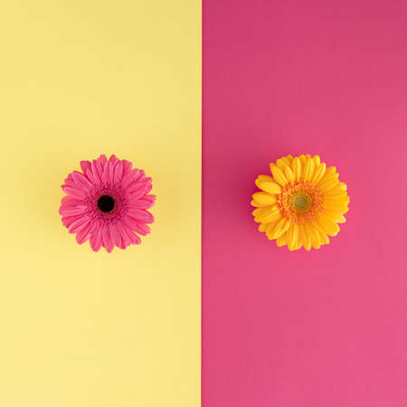 Minimal floral concept made of pink and yellow flowers on background. Flat lay.の写真素材