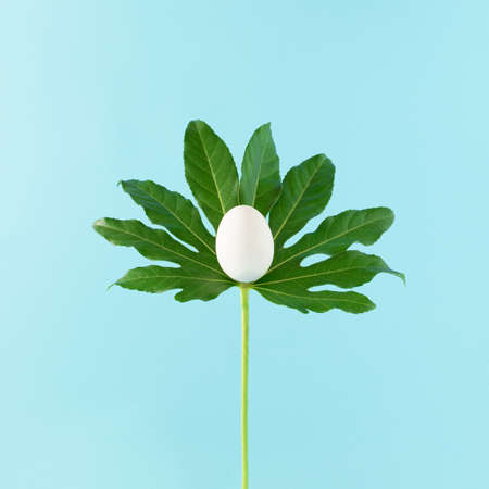 Easter egg with leaves against bright blue background. Minimal food concept. Creative nature idea.の写真素材