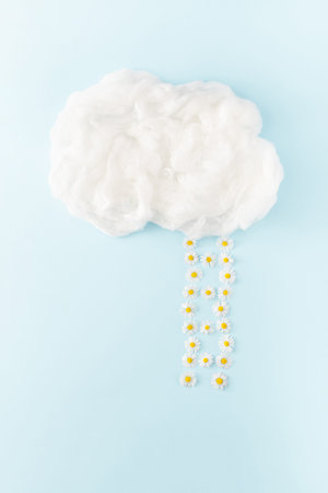 Step ladder made of daisy flowers leading to clouds. Minimal spring concept.