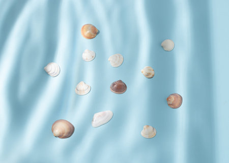 Seashells under the water sunlight on bright blue background. Minimal summer concept. Creative...