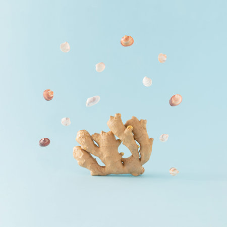 Ginger root and seashells against a bright blue background. Minimal vacation concept. Creative under...