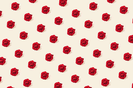 Floral pattern made of red rose flowers with sunlight shadow on bright beige background. Minimal nature concept.の写真素材