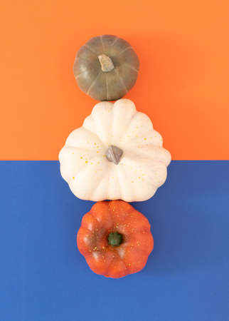 Minimal autumn composition made with colorful pumpkins on bold blue and orange background. Creative holiday season concept. Nature food layout.の写真素材