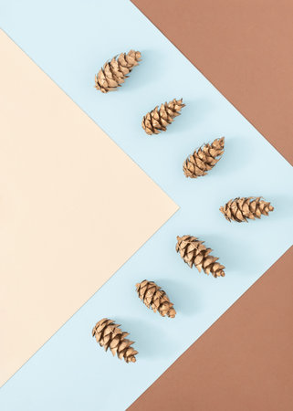 Creative composition made with pinecones on bright beige, blue, and brown backgrounds. Minimal...