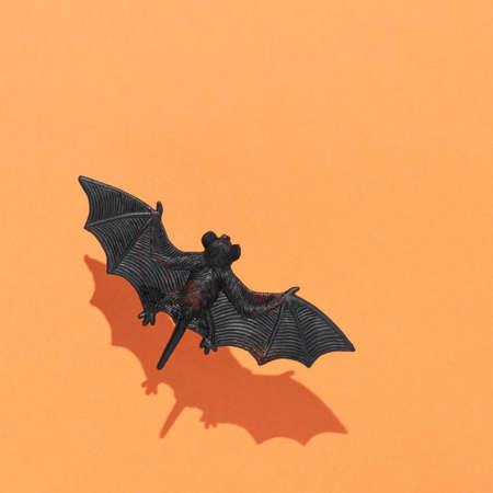Flying bat with sunlight shadow against an orange background. Minimal Halloween concept.の写真素材