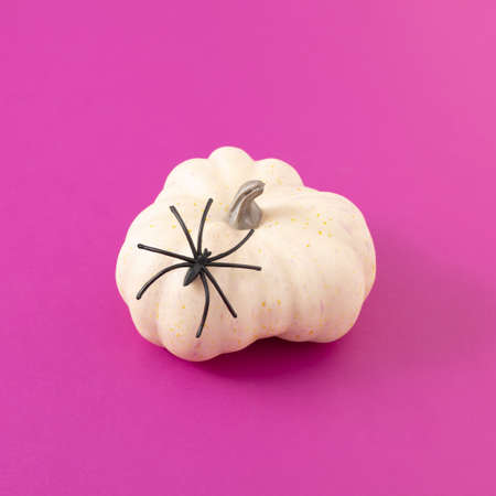 Minimal Halloween composition made with white pumpkin and black spider on vibrant purple background. Creative autumn holiday concept.の写真素材