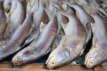 Dried fish in floating market , Thailandの写真素材