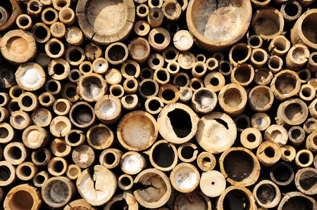 bamboo cross sliceの写真素材