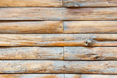 Wooden wall texture, wood background