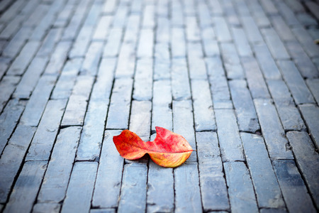 red leaf on nature stone brick sidewalkの写真素材