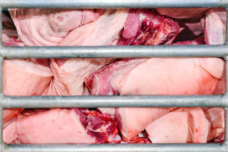 Selection cuts of fresh meatの写真素材