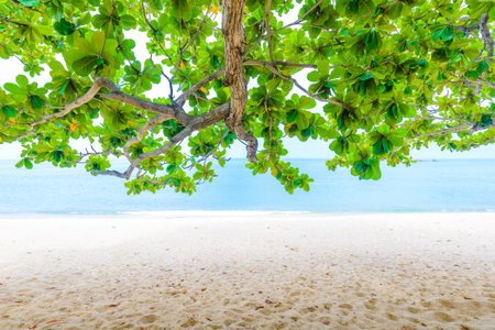 The beach on Southern sea