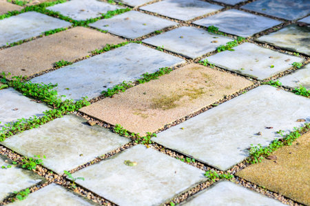 Relax block walk path in the park with green grass.