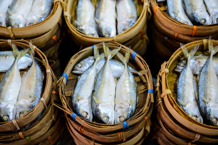 Tuna fish in bamboo basketの写真素材