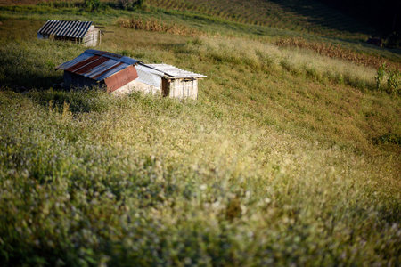 Mountain autumn landscape in evening and traditional houses ,Chiang mai , Thailandの写真素材