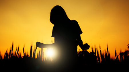 silhouette of Happy young asian woman standing in barley fields with sunsetの写真素材