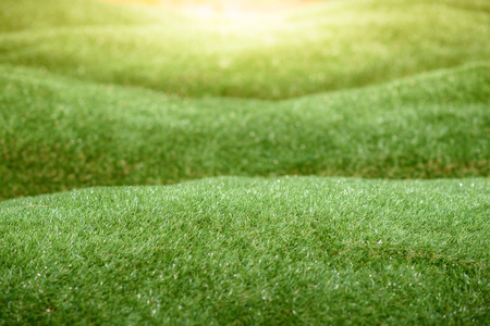 artificial green grass field in sunsetの写真素材