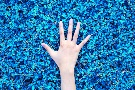 Hand on blue leaf backgroundの写真素材