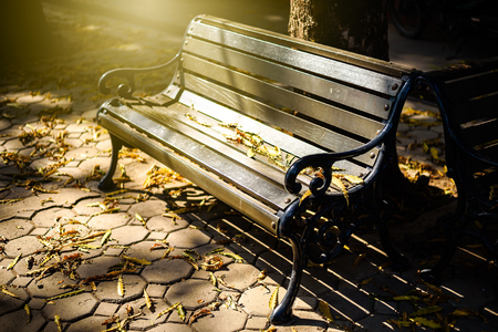 wooden bench in the park with warming morning Lightの写真素材