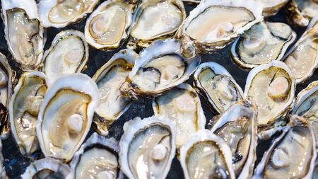 Opened Fresh Oysters on ice bucketの写真素材
