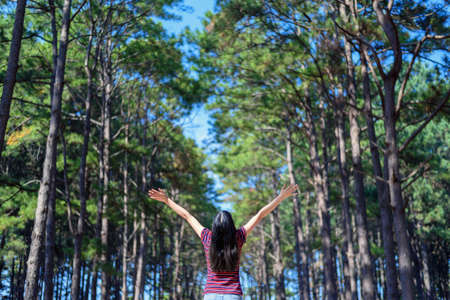 happy woman touristraised hand in pine forestの写真素材