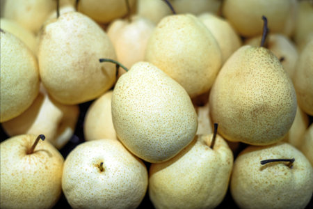 Asian pears or Chinese pears fruit backgroundの写真素材