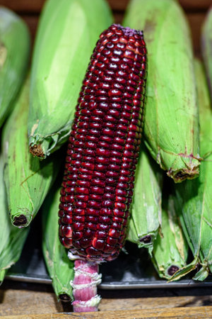 raw sweet purple red corn in the 

marketの写真素材