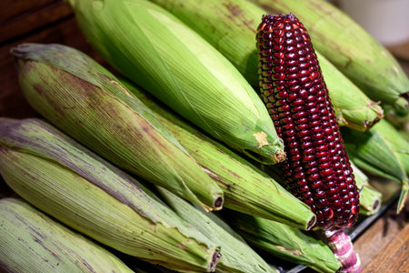 raw sweet purple red corn in the market