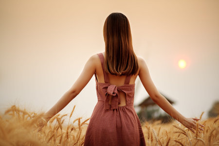 portrait of beautiful asian woman in barley wheat field at sunsetの写真素材