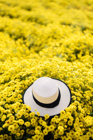 straw hat on yellow folwer fields backgroundの写真素材