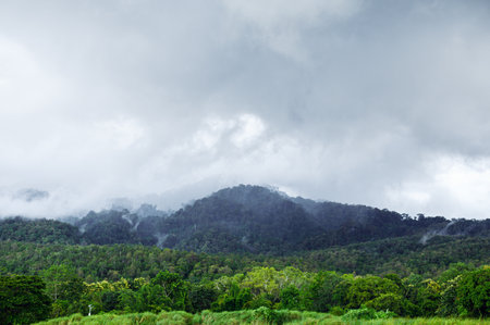Evanescent atmosphere misty green mountain in rainy seasonの写真素材