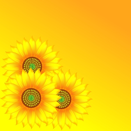 sunflowersのイラスト素材