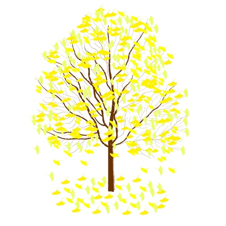 ginkgo treeのイラスト素材
