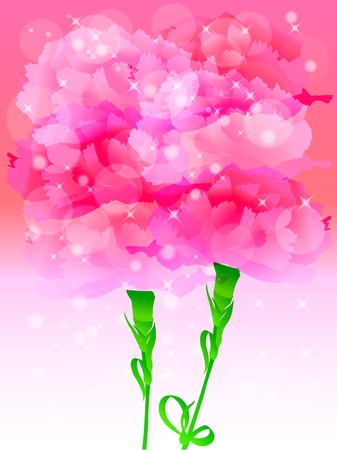 sun carnationのイラスト素材