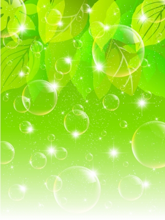 Plant leaf background bubbleのイラスト素材