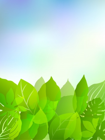Plant leaf background skyのイラスト素材