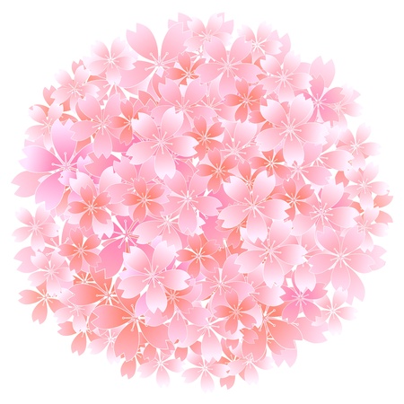 Spring cherry petalsのイラスト素材