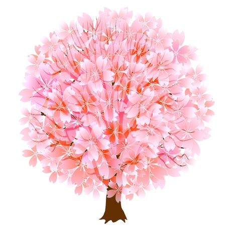 Thurs spring cherryのイラスト素材