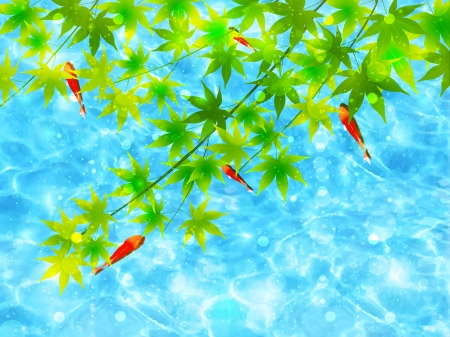 Sea maple goldfishのイラスト素材