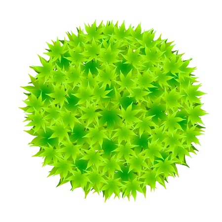 Maple leaf bouquetのイラスト素材