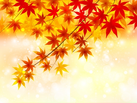 Maple autumn leaves autumn backgroundのイラスト素材