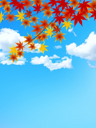 Maple autumn leaves backgroundのイラスト素材