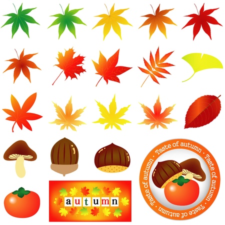 Maple frame iconのイラスト素材
