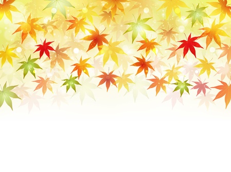 Background autumn mapleのイラスト素材