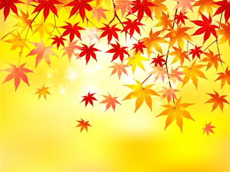 Maple autumn leaves backgroundのイラスト素材