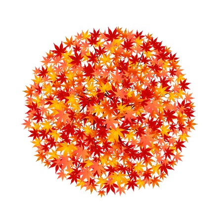 Autumn leaves maple treeのイラスト素材