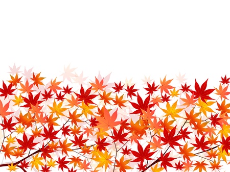 Maple autumn leaves backgroundのイラスト素材