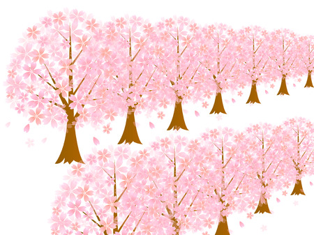 Row of cherry blossom trees cherry backgroundのイラスト素材